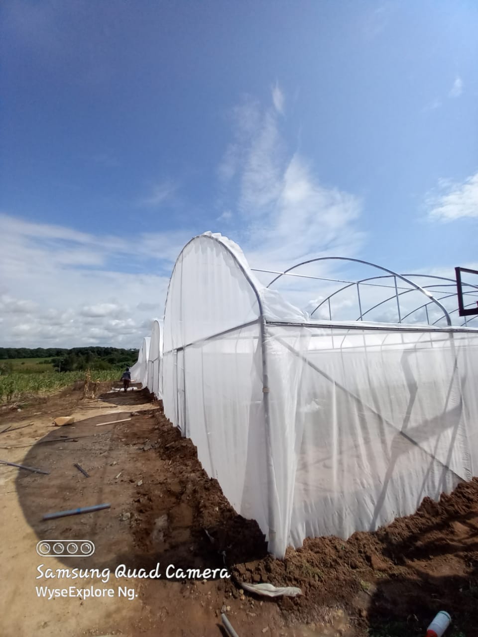 Finished Greenhouse Arch