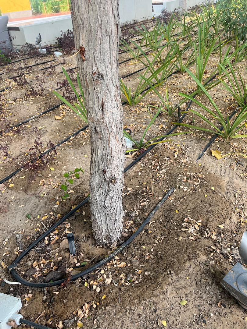 Drip Irrigation and Dosing Systems